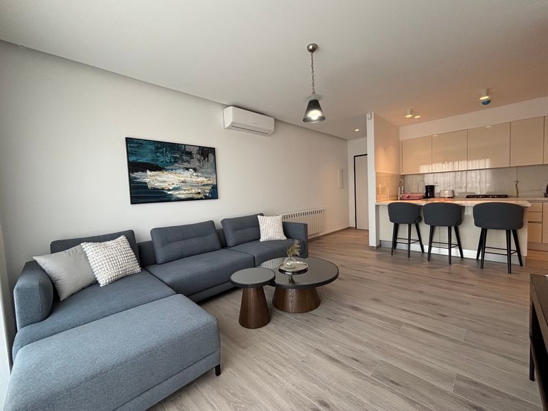 NEW Bright Luxury 1BR Central Location - The Landlord